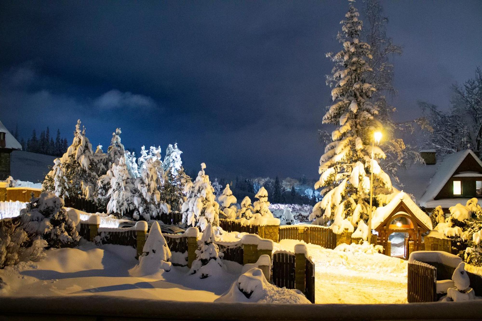 Zakopane Domki Wisienka Eksteriør bilde